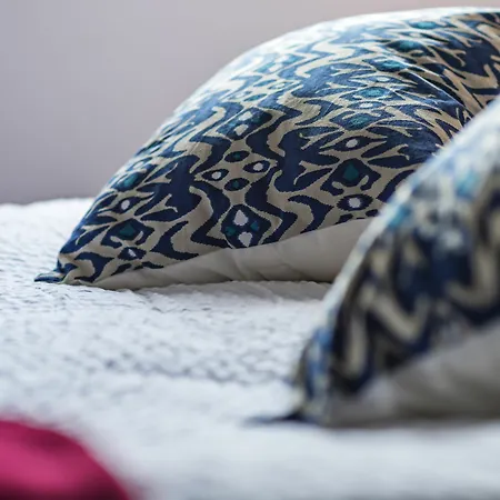 מלון Brit De Paris סן-ז'אן-דה-לוז